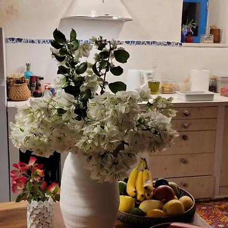 Vilă Bakola *