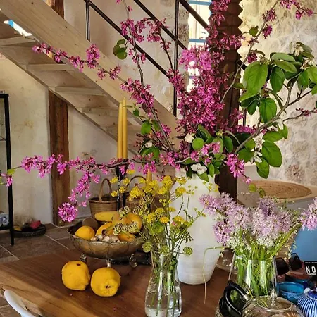 Bakola Βίλα Σύβρος